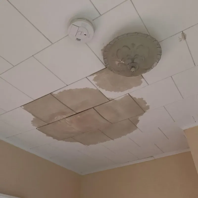 Ceiling Water Damage Repair in Longview Heights, WA