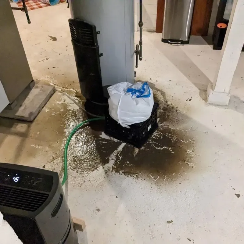 Sewage Backup Cleanup Service in Longview Heights, WA